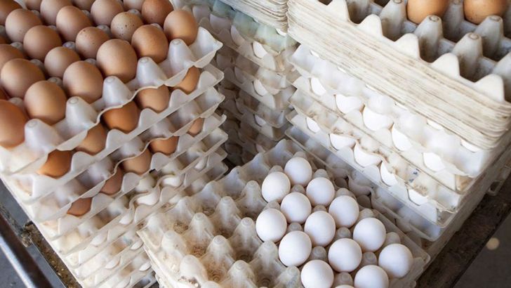 20 هزار تن صادرات تخم مرغ در شش ماه