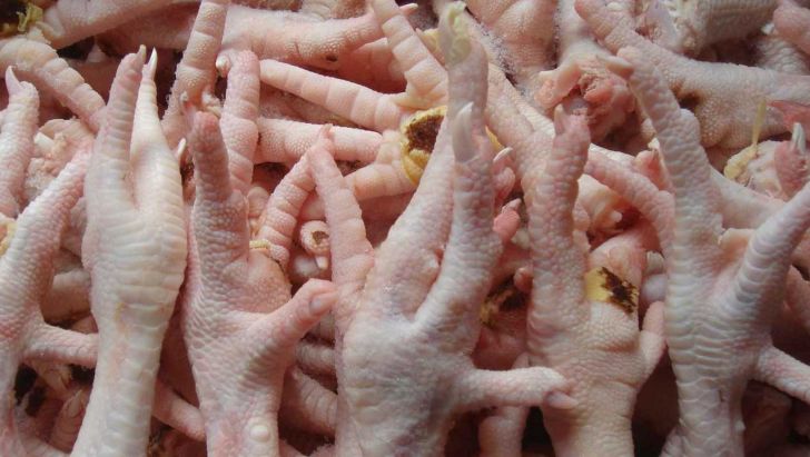 ایران به دنبال صادرات پای مرغ به چین