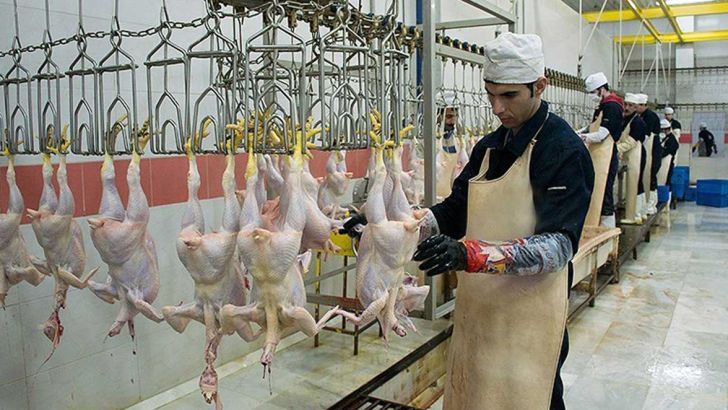 کشتارگاه مرغ آبگرم به زودی راه اندازی می‌شود