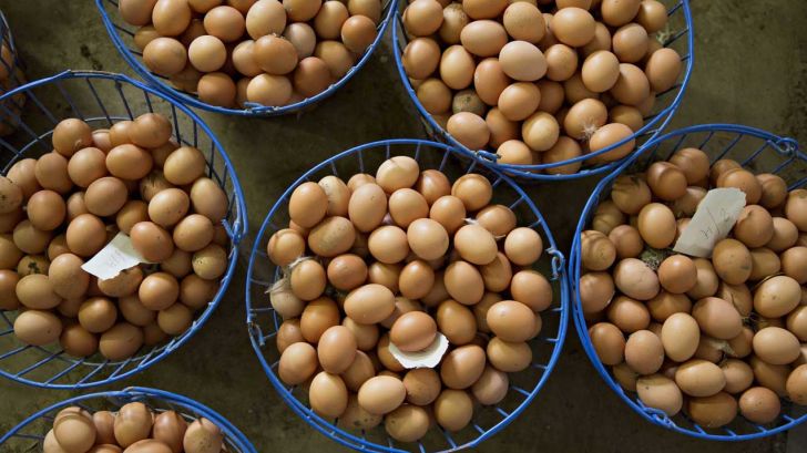 صادرات تخم‌مرغ از استان مرکزی ۱۰۰ درصد افزایش یافت