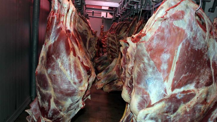 واردات گوشت فعلا متوقف می‌شود