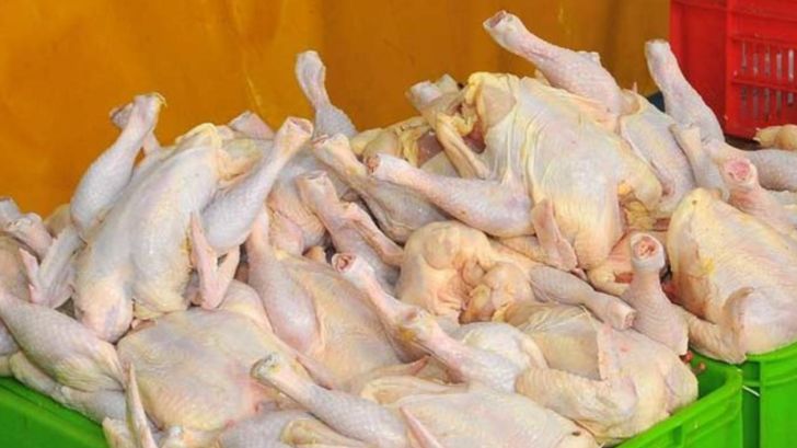 خرید تضمینی گوشت مرغ در آذربایجان‌شرقی