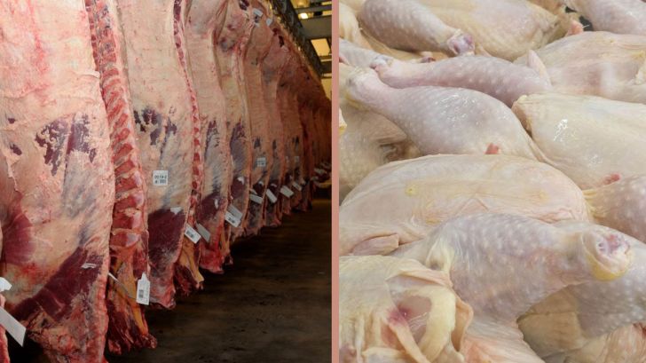 کشور نیاز به واردات گوشت قرمز و سفید ندارد