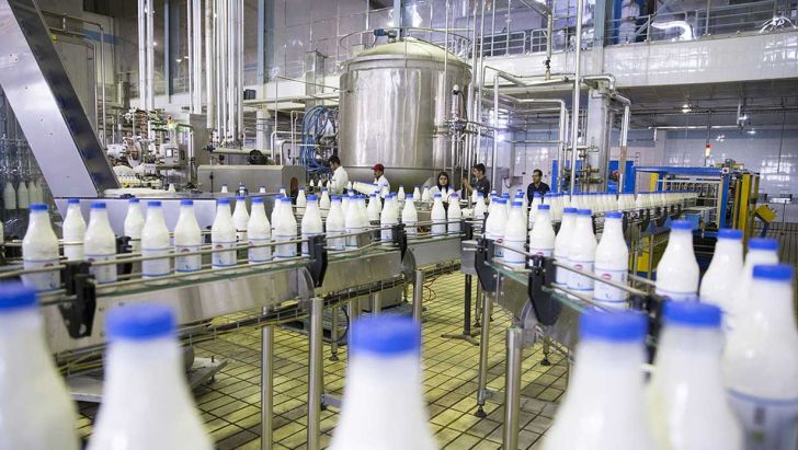 نرخ خرید شیر از دامداران کاهش یافت