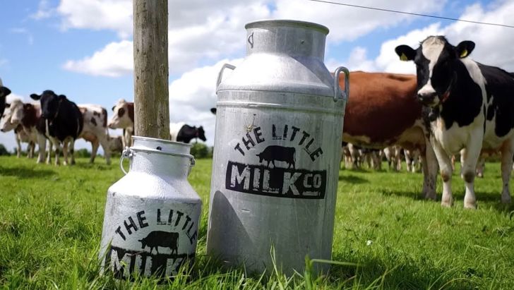 تصویب خرید حمایتی شیر خام مازاد دامداران