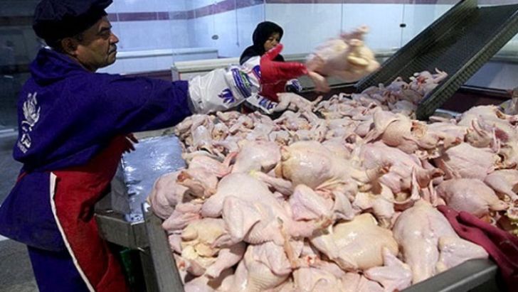 عرضه مرغ شب عید با قیمت مصوب ستاد تنظیم بازار