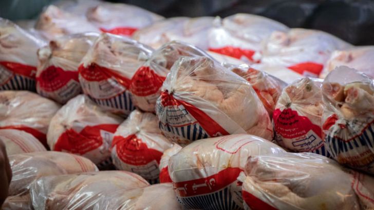 مرغ زیر وزن ۱۸۰۰ گرم مرغداران بدون محدویت خریداری می شود