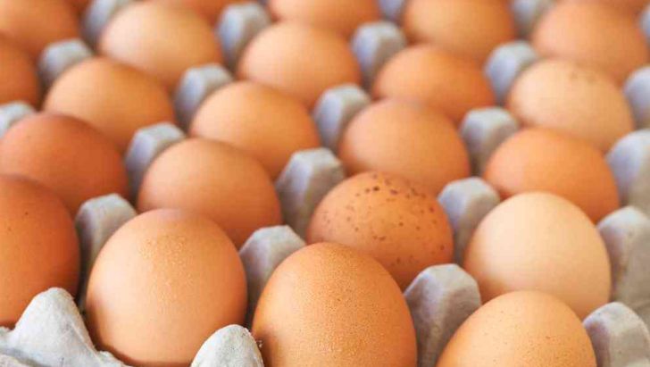 نگهداری میلیون‌ها تُن تخم مرغ در انبارهای سِری آمریکا