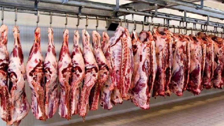 13 هزارتن گوشت از دامداران کشور برای ذخیره استراتژیک خریداری می‌شود