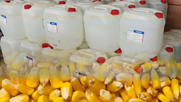 ذرت‌های آلوده تبدیل به الکل می‌شود 