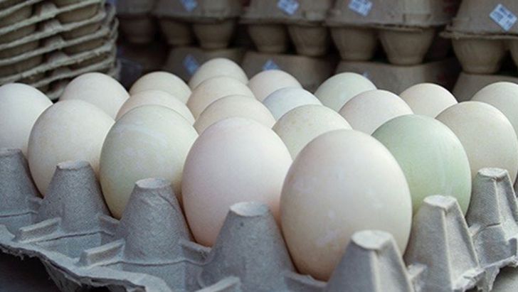 تمام مجوزهای صادرات تخم‌مرغ از ۱۴ تیر لغو شد