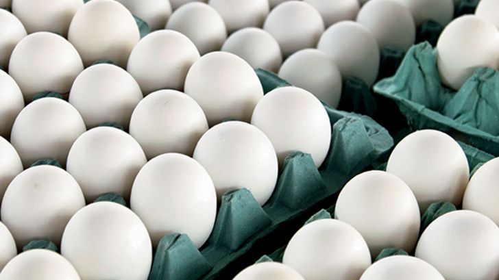 افزایش قیمت تخم مرغ به دلیل کاهش تقاضا در فصل بهار
