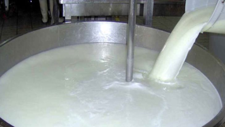 حداقل و حداکثر قیمت شیر خام تعیین شد
