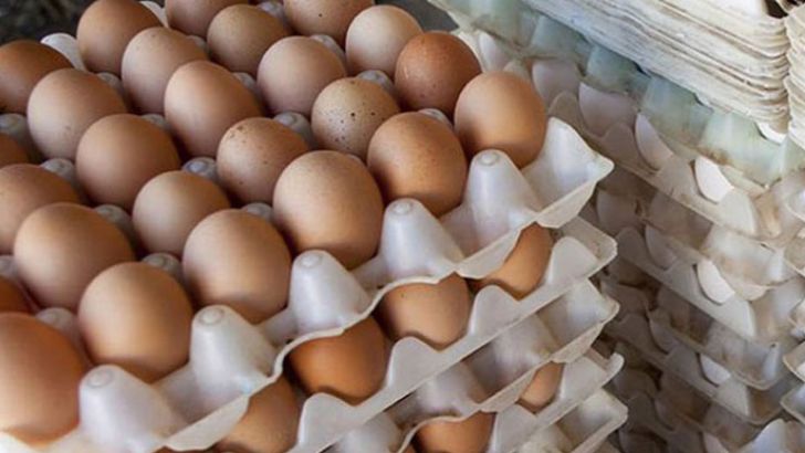 اصفهان رتبه دوم تولید تخم مرغ را در کشور دارد
