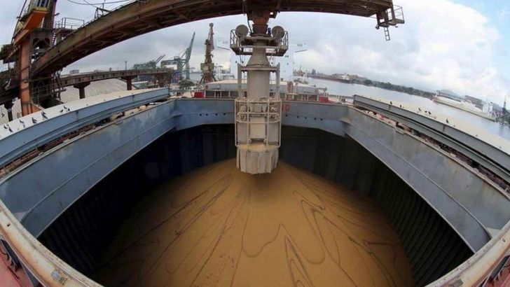 واردات خوراک دام و طیور عملا ممنوع شد