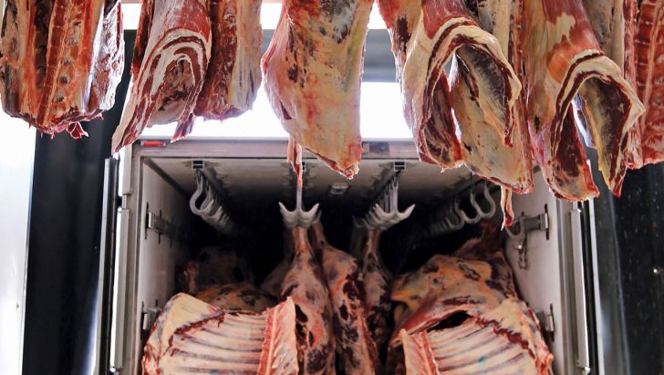 تامین ذخایر گوشت کشور با خرید تولید داخل
