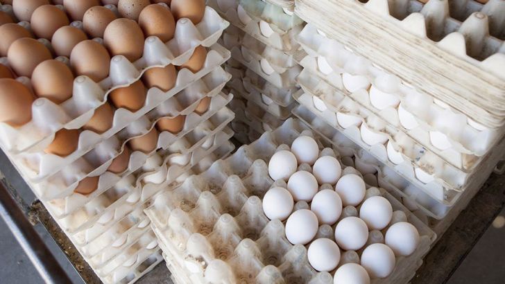 عرضه تخم‌مرغ کمتر از نرخ مصوب ستاد تنظیم بازار
