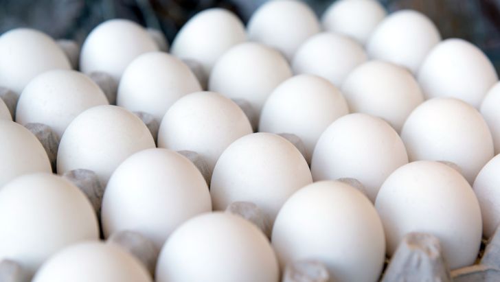 تولید تخم‌مرغ در استان سمنان به ۲۸ هزار تن می‌رسد