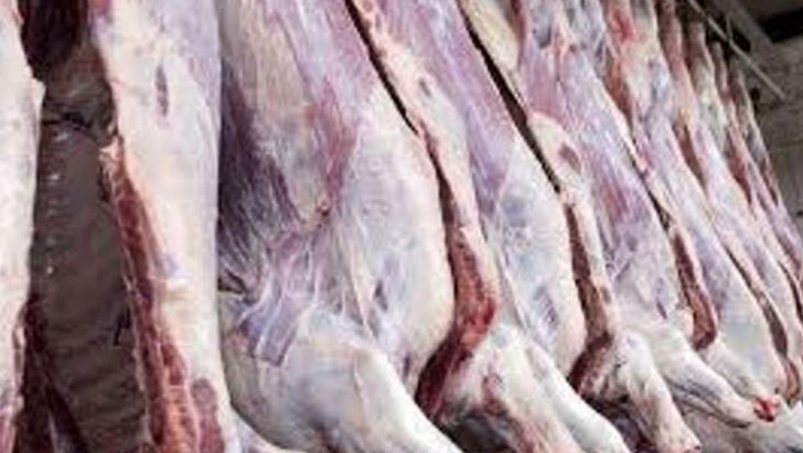 واکنش گمرک به ماجرای واردات گوشتهای تاریخ گذشته