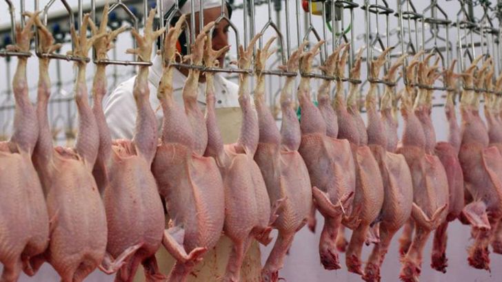 افزایش قیمت مرغ ناشی از افزایش قیمت مولفه‌های تولید است