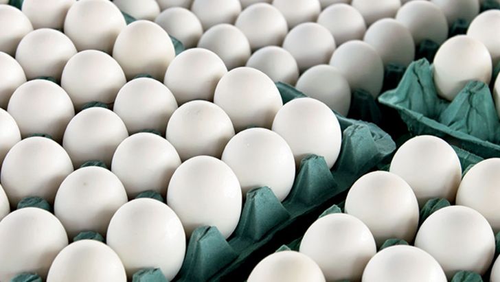 قیمت تخم‌مرغ و جوجه یک روزه ماهانه تعیین می‌شوند