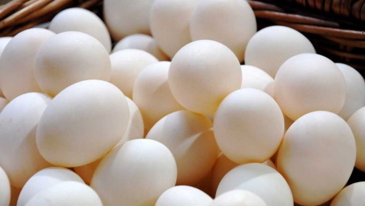 زیان ۵ هزار تومانی مرغداران در فروش تخم مرغ