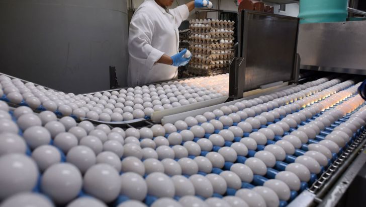 قیمت تخم‌مرغ در روزهای آینده کاهش می‌یابد