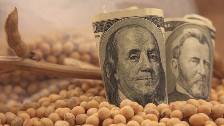 قیمت جهانی کنجاله سویا نصف قیمت بازار ایران