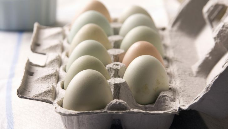 اعلام حداکثر قیمت انواع تخم مرغ های شناسنامه دار