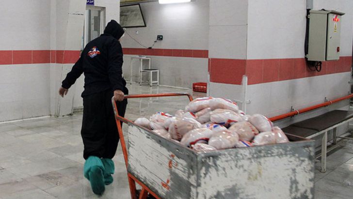قیمت جدید مرغ برای مصرف کنندگان ۲۰۴۰۰ تومان تعیین شد