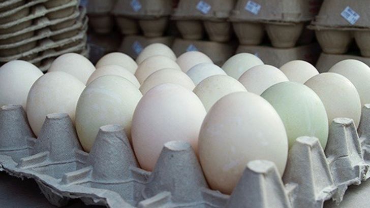 اصلی‌ترین عامل افزایش نرخ تخم مرغ افزایش صادرات آن بود