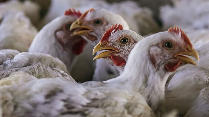 مسئولان دولتی واقعیت‌ها را بیان نمی‌کنند