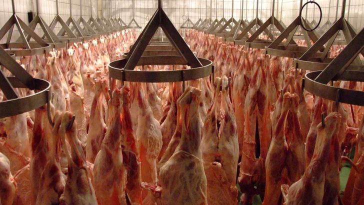 اختلاف چشمگیر قیمت گوشت از دامداری تا فروشگاه
