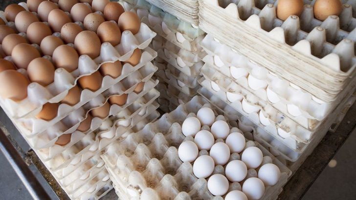 قاچاق تخم‌مرغ هر شانه ۷۰ هزار تومان!
