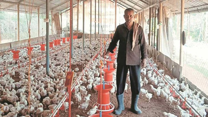 نرخ تورم تولید مرغداری صنعتی۱.۳ درصد رشد کرد