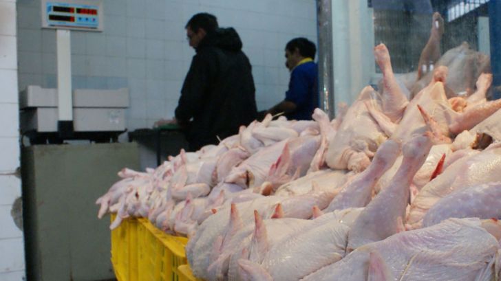 مرغداران نقشی در افزایش قیمت مرغ ندارند