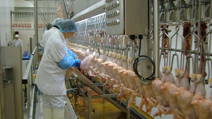 نحوه خرید و فروش مرغ زنده در کشتارگاه های طیور آذربایجان‌غربی ساماندهی شد