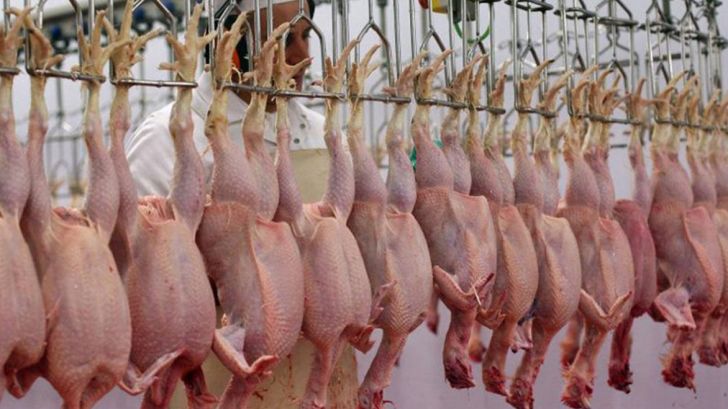 سود قیمت گذاری دستوری در جیب واسطه‌ها