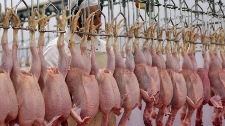 قیمت مرغ و تولید مازاد بر مصرف