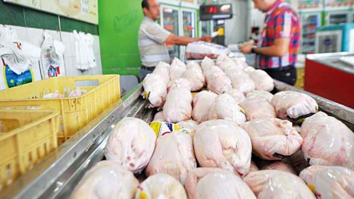پیش بینی افزایش قیمت مرغ