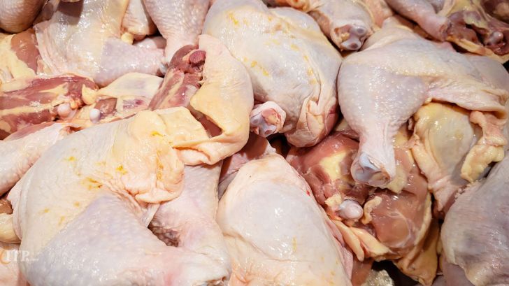 الهیان خواستار روشنگری درباره ترخیص ۵۰ هزار تن مرغ از گمرک شد