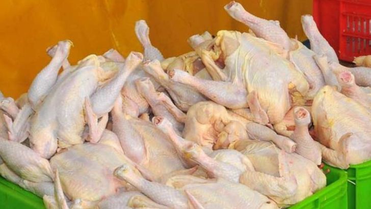 گیلان تامین کننده ۳۵۰ تن مرغ تهران و البرز