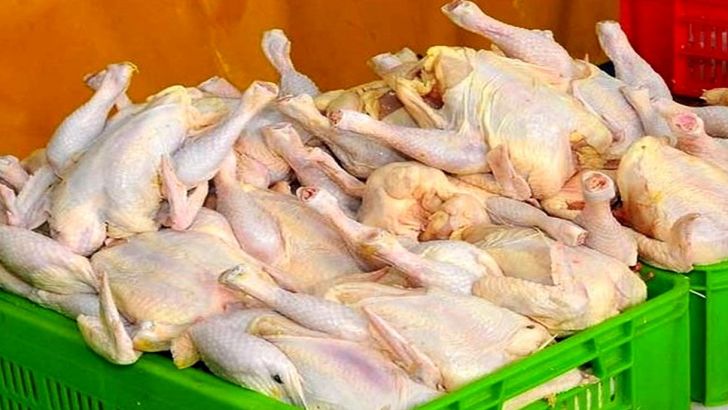 اختلاف قیمت مرغ در استان‌های مختلف دردسرساز شد