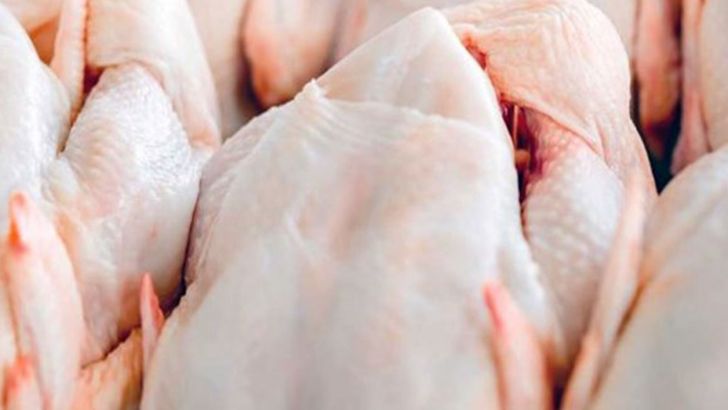 عاقبت بازار مرغ در ماه‌های آینده چه می‌شود؟