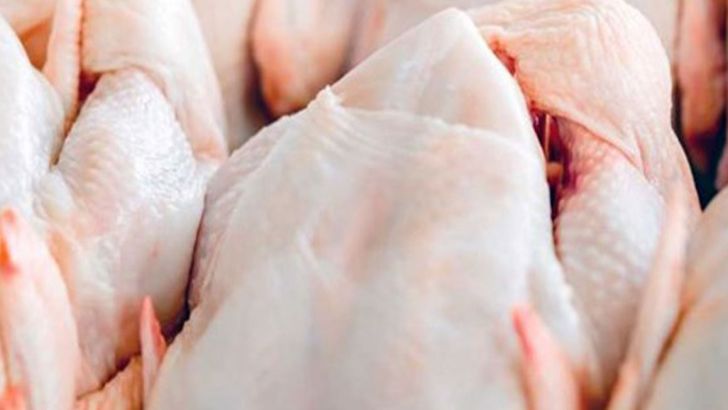  عاقبت بازار مرغ در ماه‌های آینده چه می‌شود؟