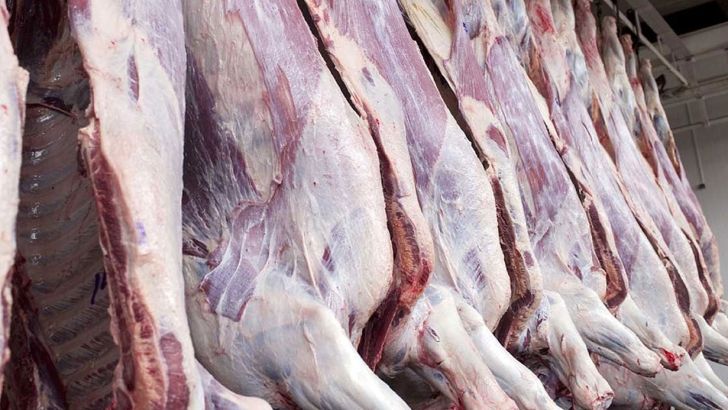 چند راهکار برای کاهش قیمت گوشت