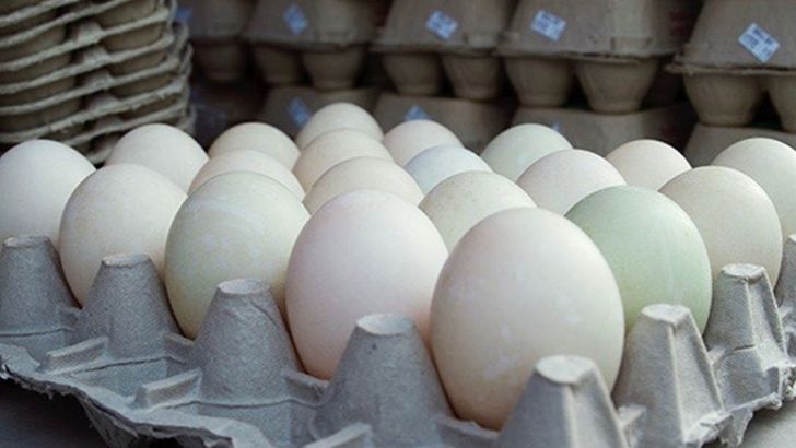 هشدار تولید کنندگان به افزایش قیمت تخم مرغ