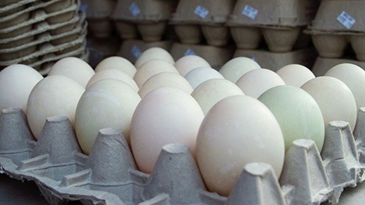قیمت تخم مرغ همچنان زیر نرخ مصوب است