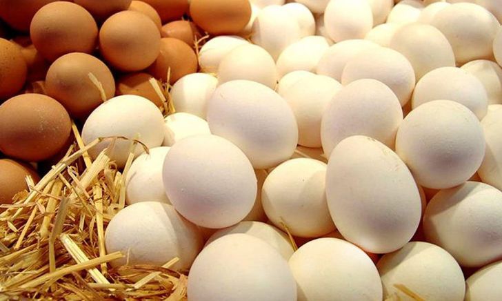 صادرات تخم مرغ به ۵ هزار و ۴۰۰ تن رسید/ قیمت هر کیلو تخم مرغ ۱۵ هزار و ۲۰۰ تومان
