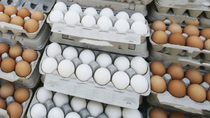 وزارت صمت در خصوص اجازه صادرات تخم مرغ تجدید نظر کند